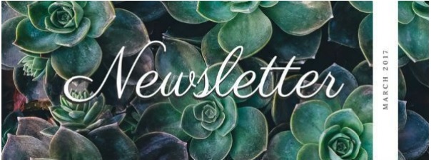 NEWSLETTER